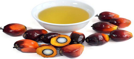 India's edible oil imports hit  a four-month high in November due to festivals