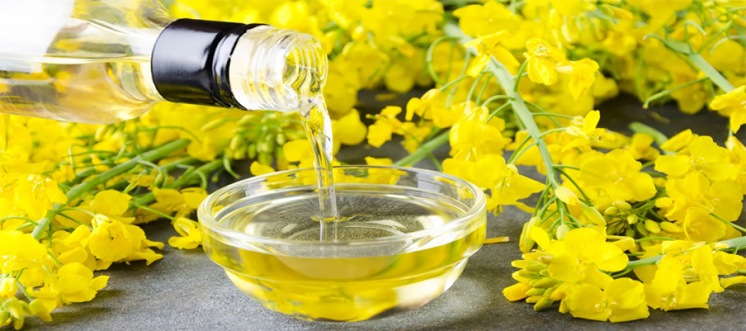Why Grow Canola?
