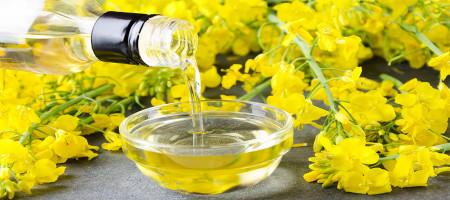 Why Grow Canola?