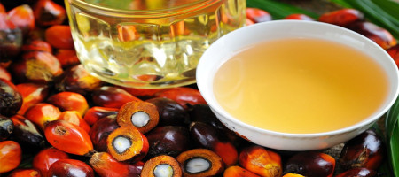 Malaysian palm oil trading was in the opposite direction before the Christmas holiday