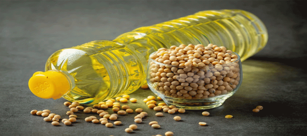 Edible Oil Market Size 2024-2028