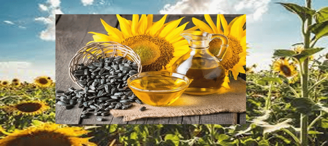 Rising Sunflower Oil Demand Offers Growth Potential Due to High Olive Oil Prices