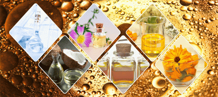 Increasing Use of Organic Cold-pressed Cooking Oil Positively Impacted Market Proliferation