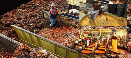 Malaysia to take strict action against fraud in used cooking oil exports, officials say