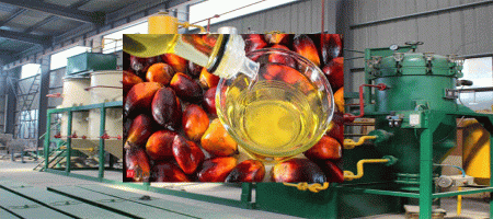 Indian refiners cancel palm oil orders due to price surge