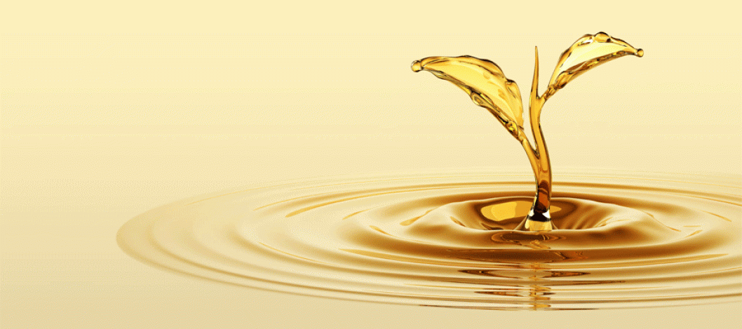 India likely to raise vegetable oil import tax to help local farmers
