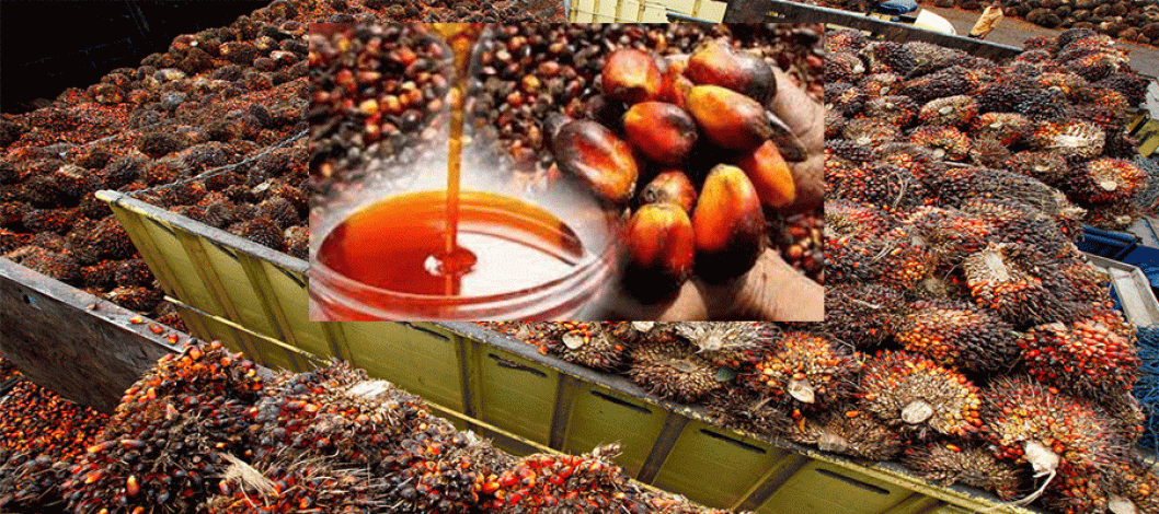 Malaysian palm oil faces pressure from falling market