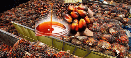 Malaysian palm oil faces pressure from falling market