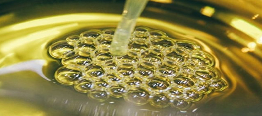 Nepal’s edible oil exports stir crisis in Indian refining industry