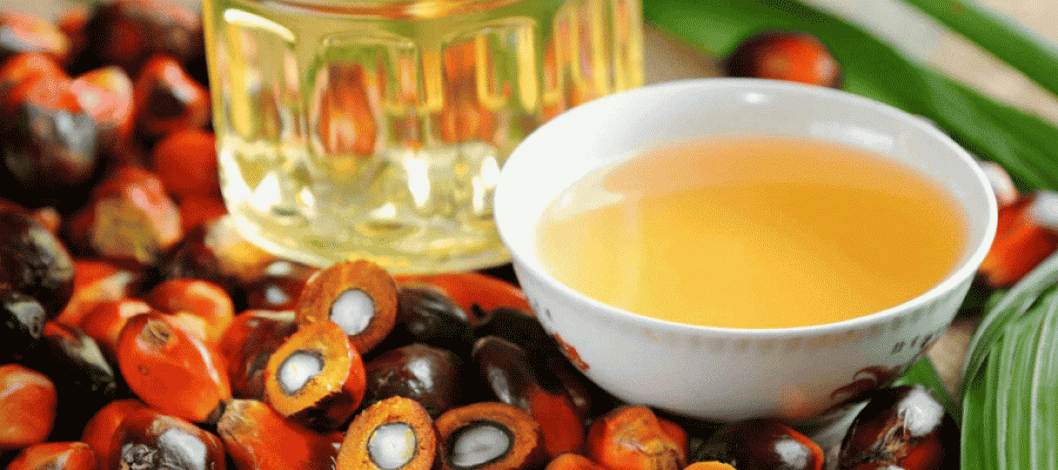 Palm oil price reduced by 19 taka per liter