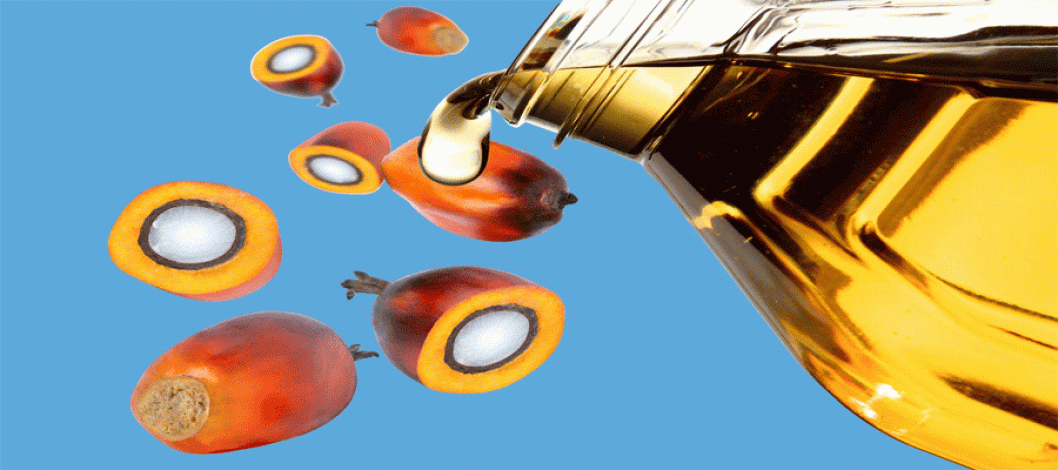 Palm oil prices fall as global oil trends change