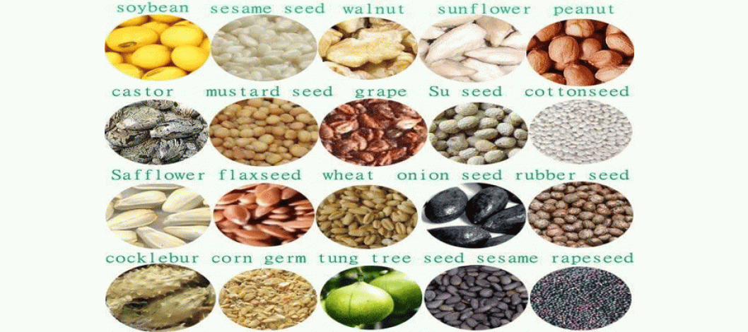 Annual oilseeds and products in Bangladesh
