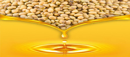 Nepal's exports to India increase by 138% in Q1 FY26, driven by increased shipments of edible oil