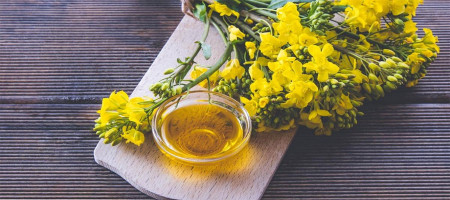 ICE canola weekly outlook
