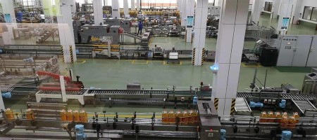 20tpd Crude Palm Oil Refinery plant in Peru