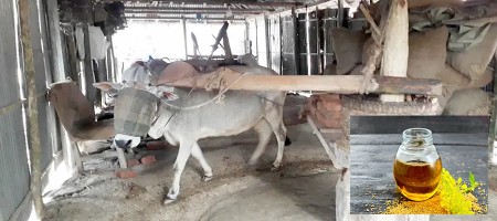 Everyone is looking for pure mustard oil, but Kalur doesn't care
